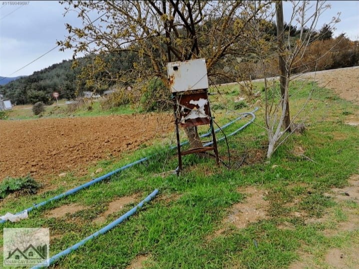 Çınar Gayrimenkul